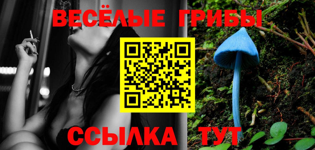 Галлюциногенные грибы MAGIC MUSHROOMS Мытищи